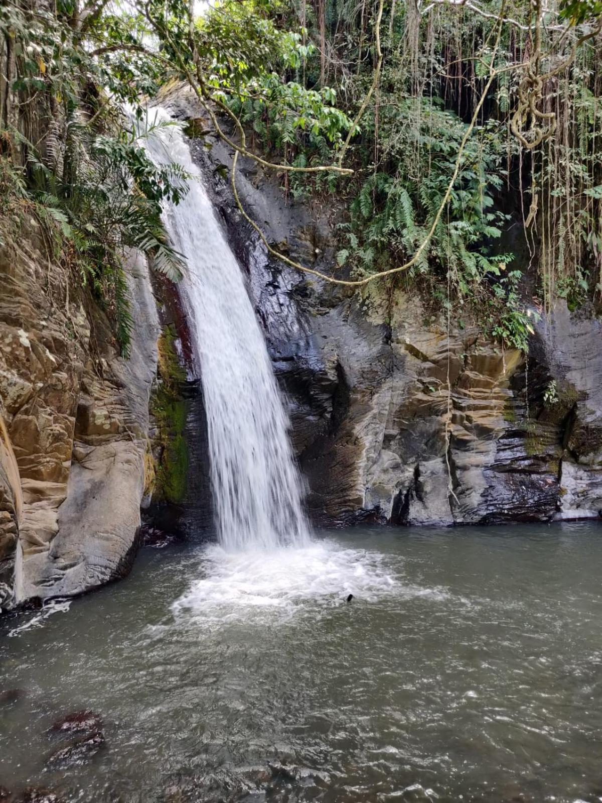 Farila Lodge Kelimutu Ngoại thất bức ảnh