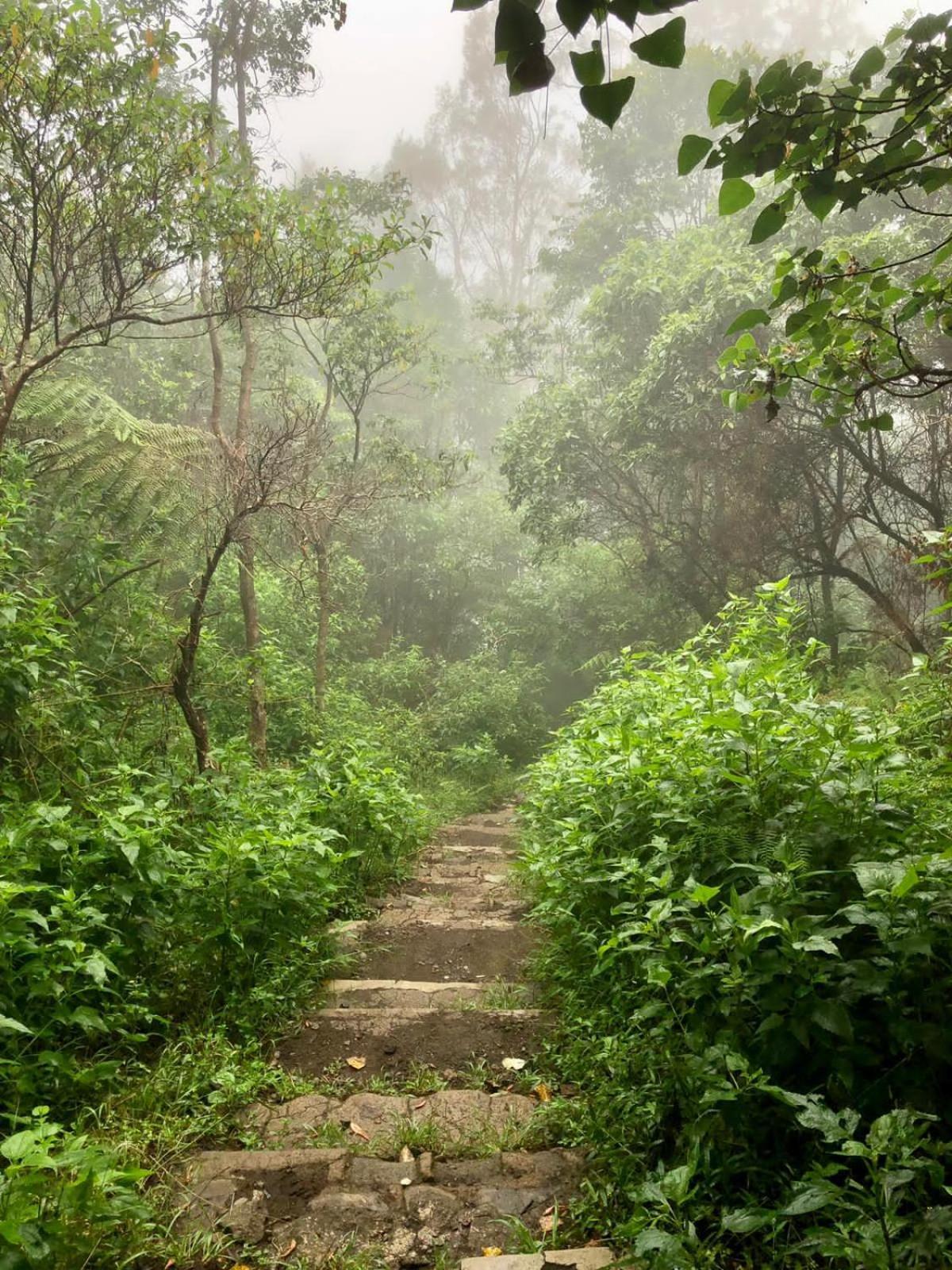 Farila Lodge Kelimutu Ngoại thất bức ảnh