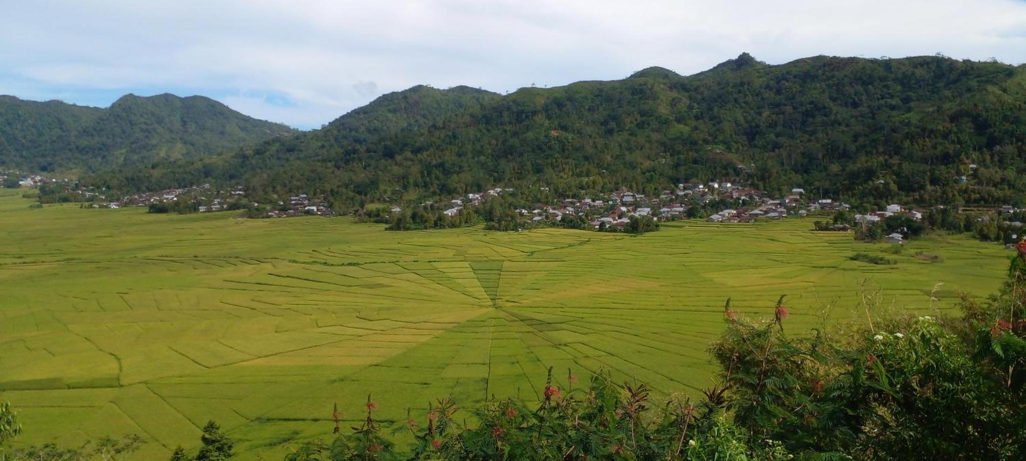Farila Lodge Kelimutu Ngoại thất bức ảnh