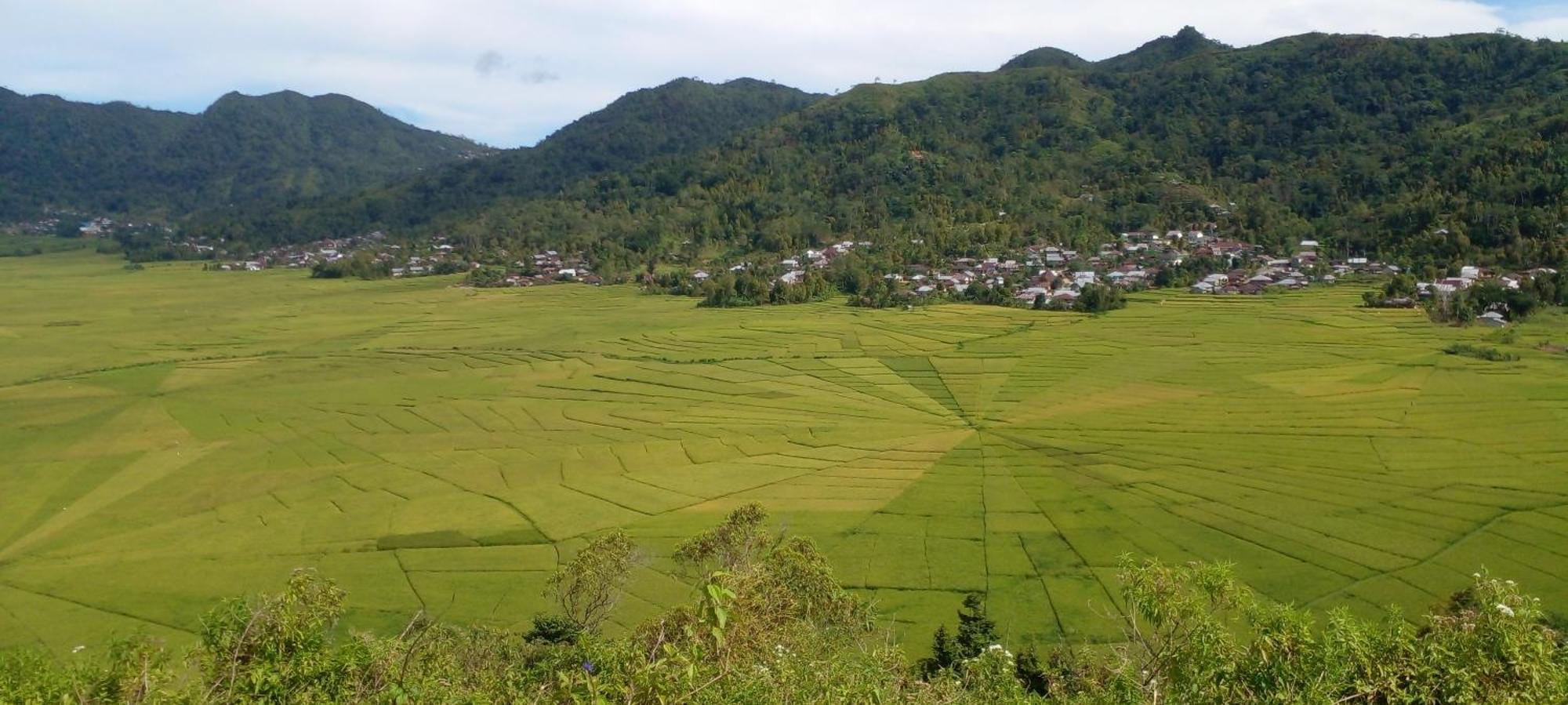 Farila Lodge Kelimutu Ngoại thất bức ảnh